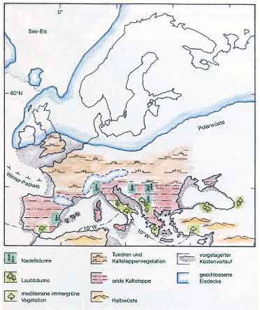 Archologie in Deutschland Sonderheft 2002: Die Neandertaler, S. 50. Theiss Verlag