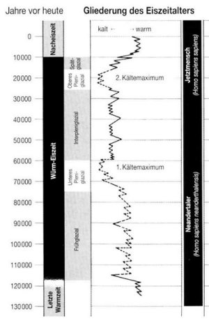 Archologie in Deutschland Sonderheft 2002: Die Neandertaler, S. 50. Theiss Verlag