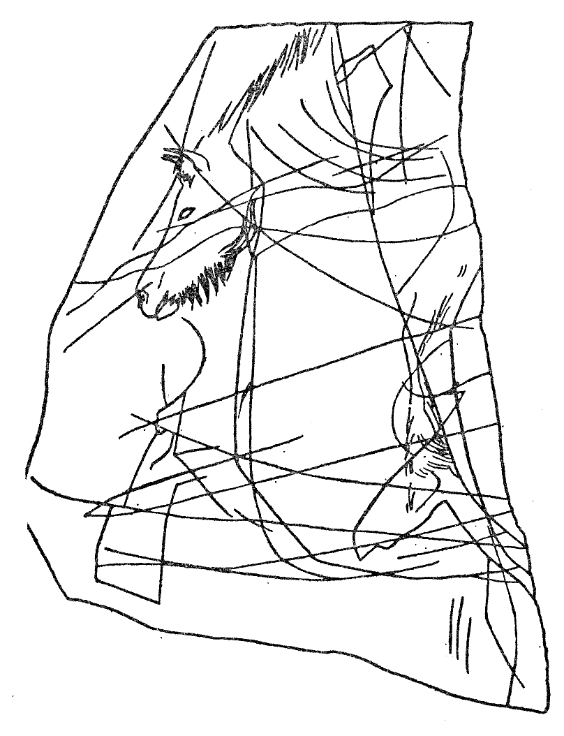 Obere Klause bei Neuessing im Altmhltal. P. Honor, Das Buch der Altsteinzeit. ECON-Verlag 1967, S. 319, Abb. 63